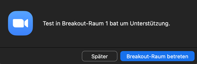 Zoom Bild 13: Hilfe-Nachricht beim Host 