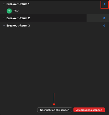 Zoom Bild 9: Übersicht über Belegung der Breakout-Räume